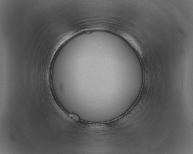 X0000116620805200912241751