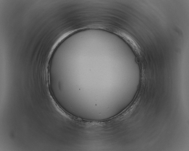 X0000116620808200912241751