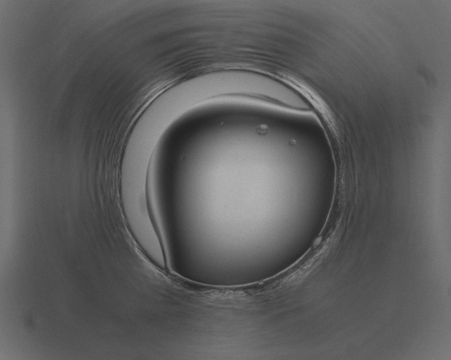 X0000116620809200912241751