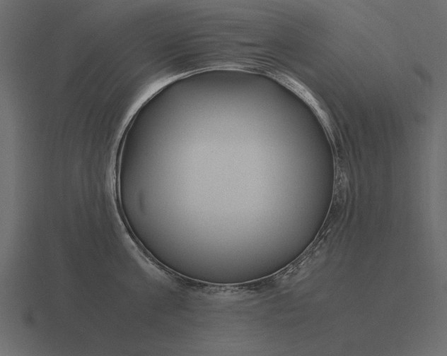 X0000116620811200912241751