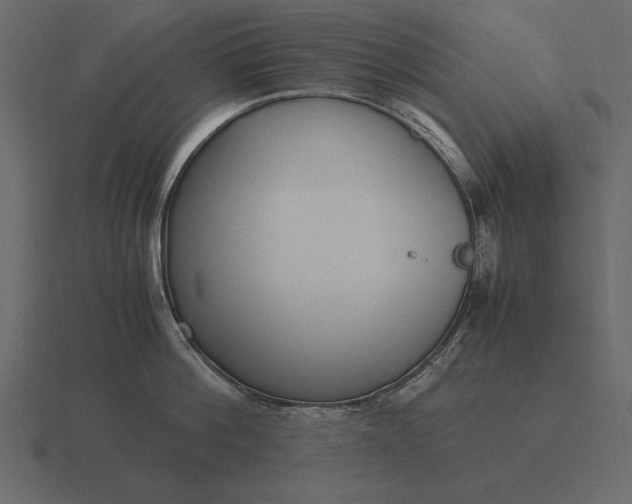 X0000116620812200912241751