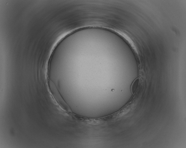 X0000116620815200912241751