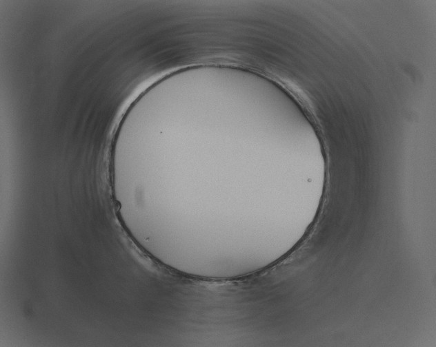 X0000116620816200912241751