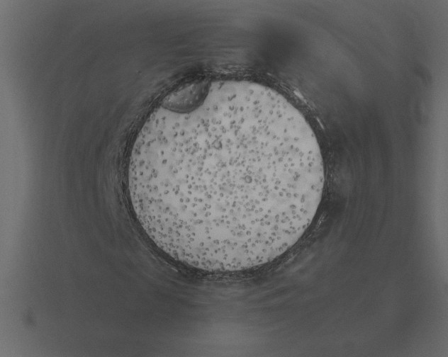 X0000116620817200912241751