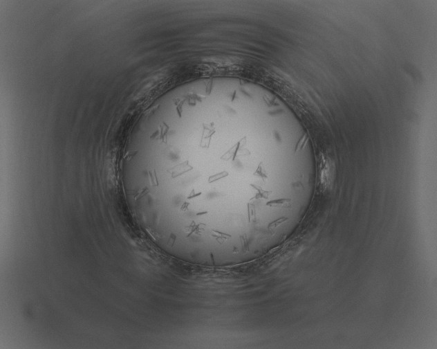 X0000116620819200912241751