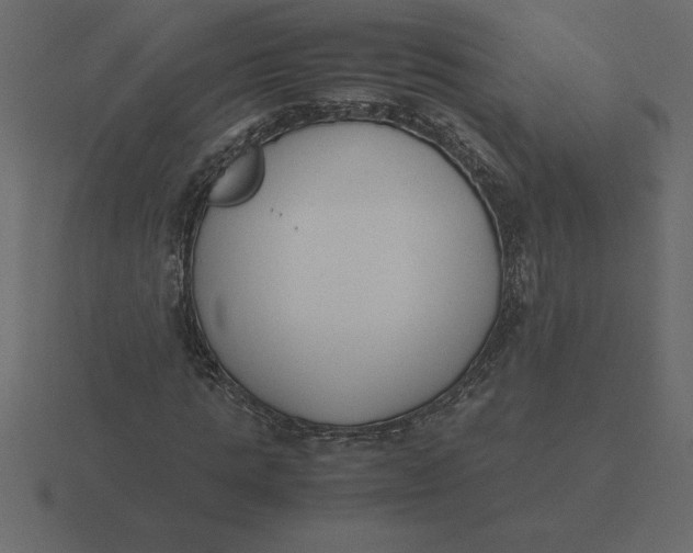 X0000116620821200912241751