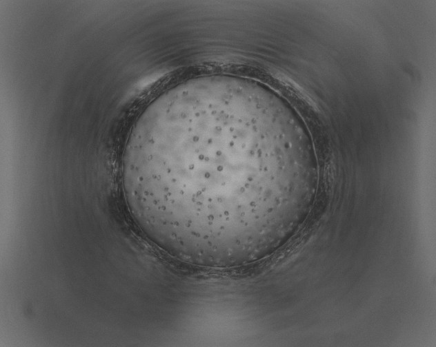 X0000116620822200912241751