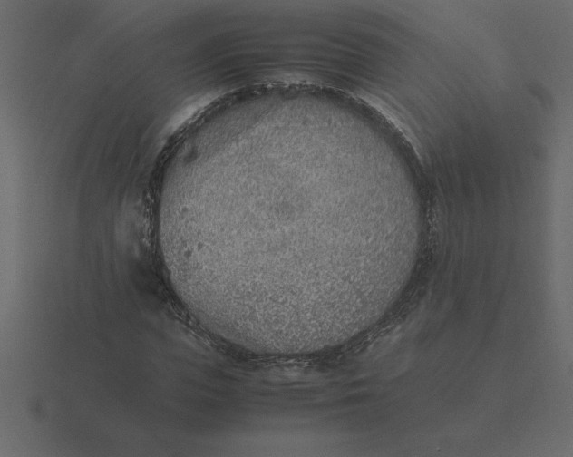 X0000116620823200912241751