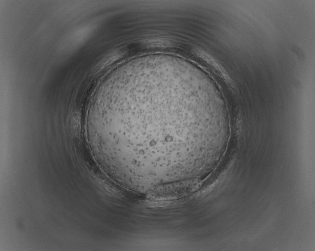 X0000116620825200912241751