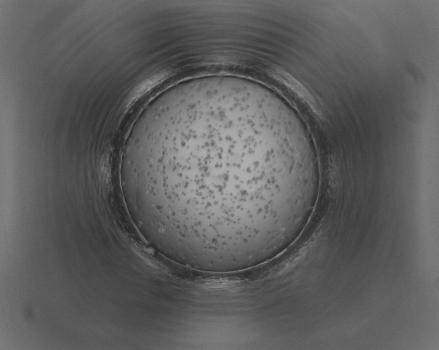 X0000116620826200912241751