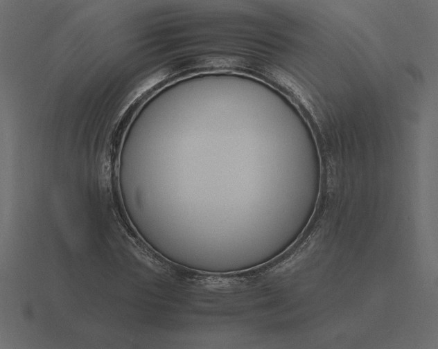 X0000116620827200912241751