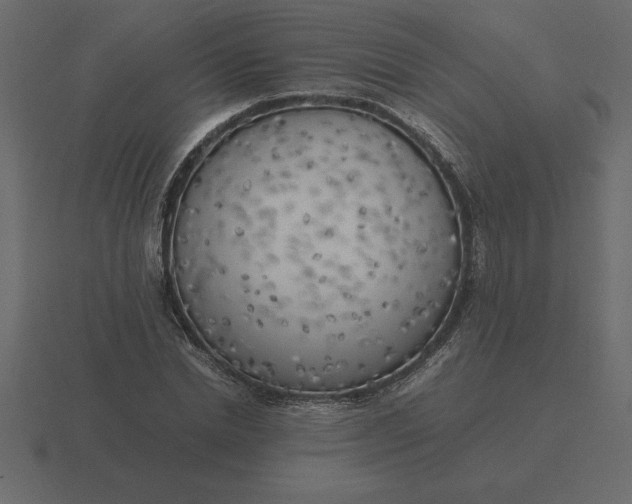 X0000116620830200912241751