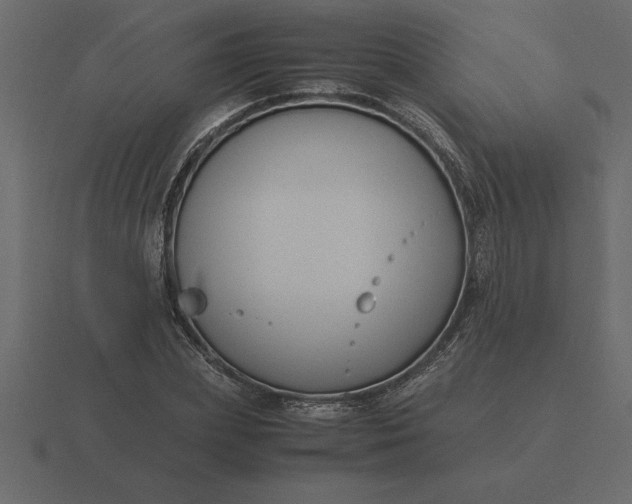 X0000116620831200912241751