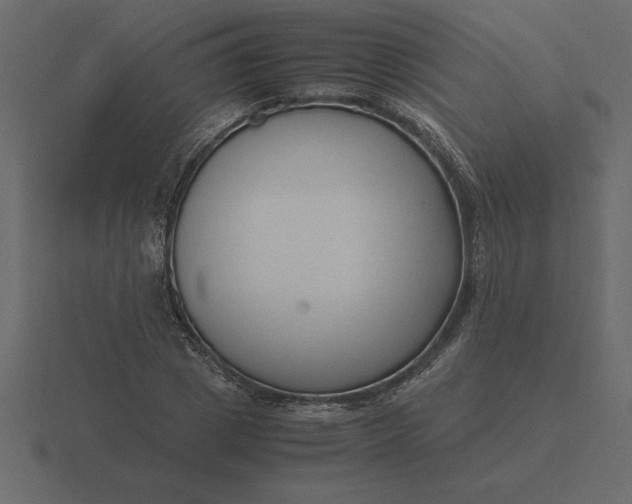 X0000116620833200912241751