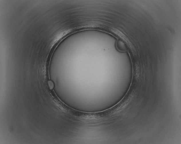 X0000116620834200912241751