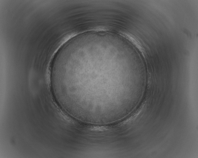 X0000116620835200912241751