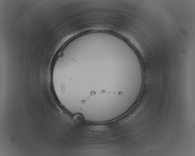 X0000116620837200912241751