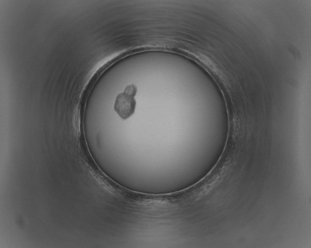 X0000116620838200912241751