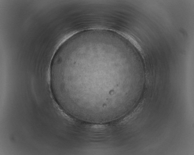 X0000116620839200912241751