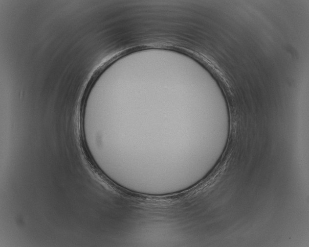 X0000116620840200912241751