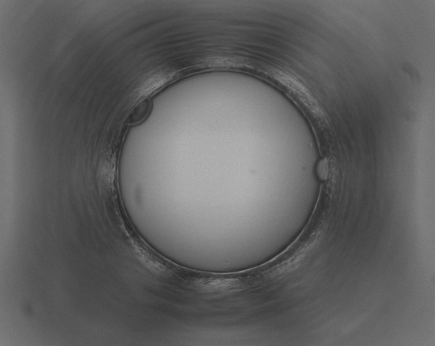 X0000116620841200912241751