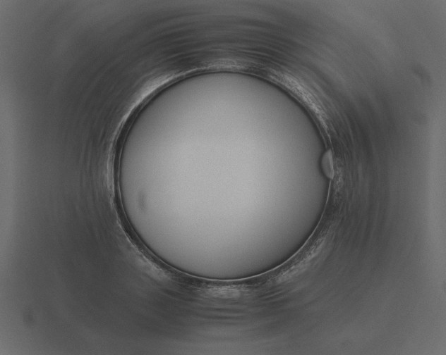 X0000116620843200912241751