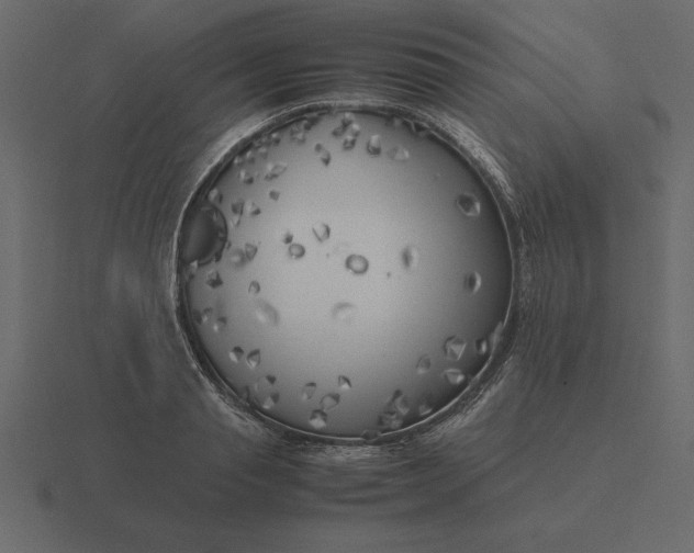 X0000116620845200912241751