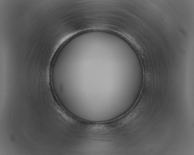 X0000116620846200912241751