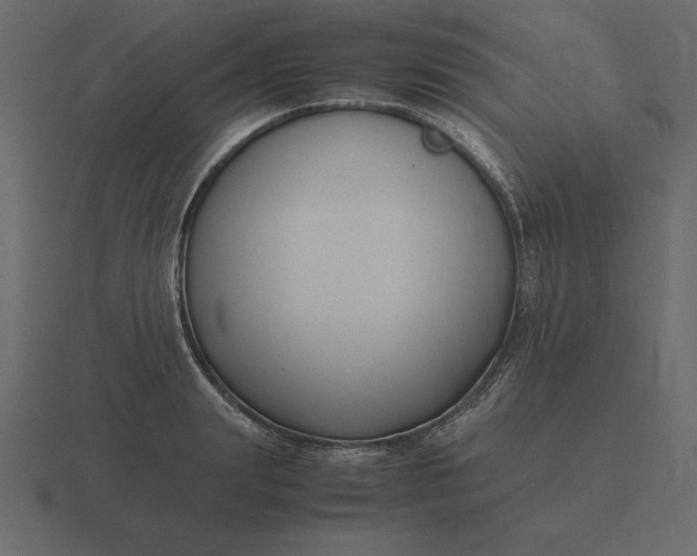 X0000116620847200912241751