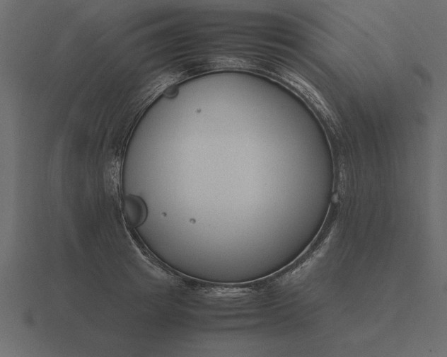 X0000116620849200912241751