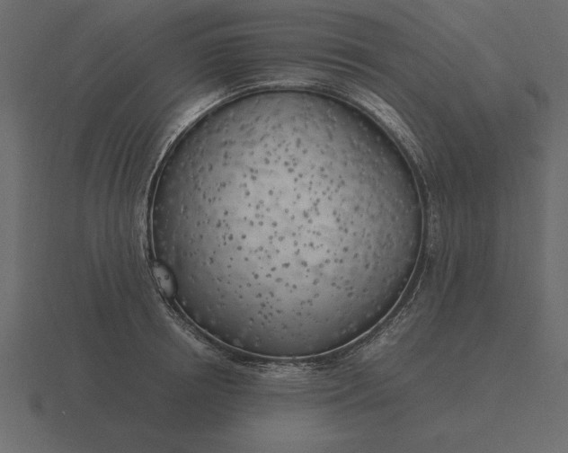 X0000116620850200912241751