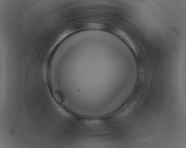 X0000116620851200912241751