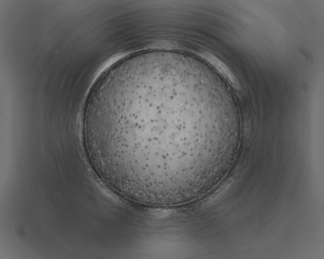 X0000116620854200912241751