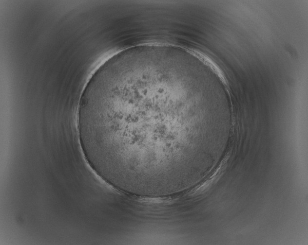 X0000116620855200912241751