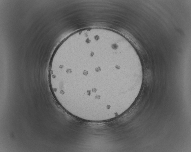 X0000116620856200912241751