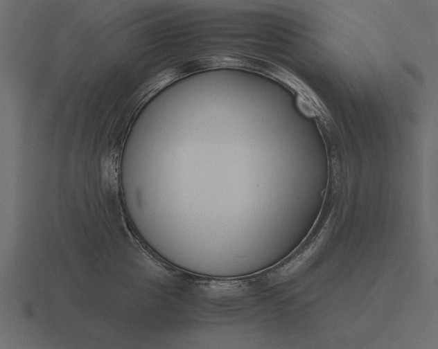 X0000116620857200912241751