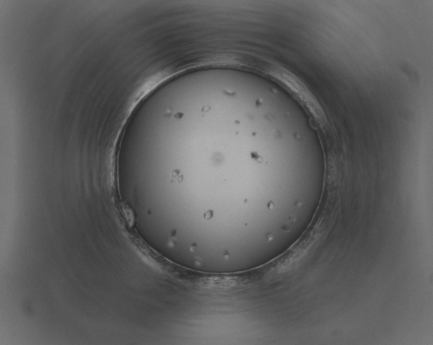 X0000116620858200912241751