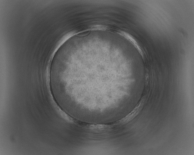 X0000116620859200912241751