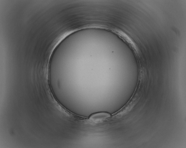 X0000116620860200912241751