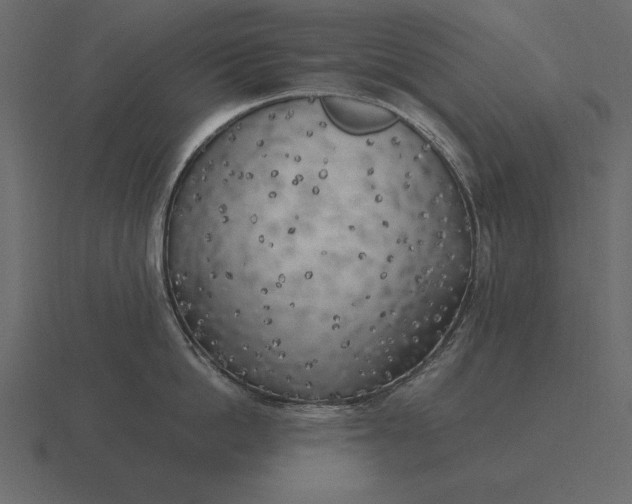 X0000116620862200912241751