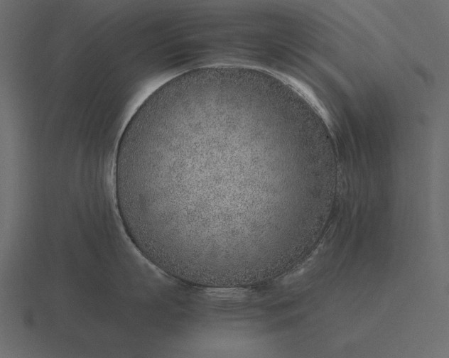 X0000116620863200912241751