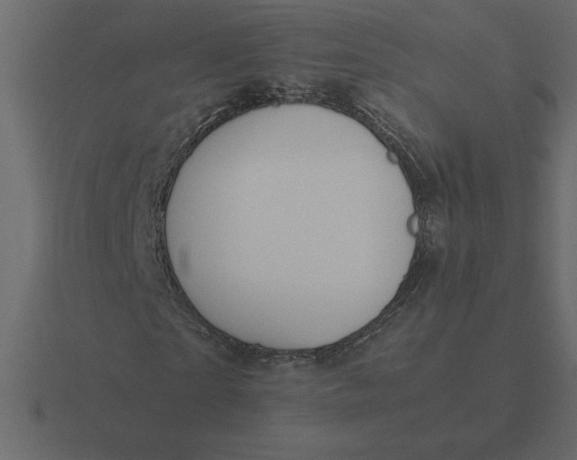 X0000116620865200912241751