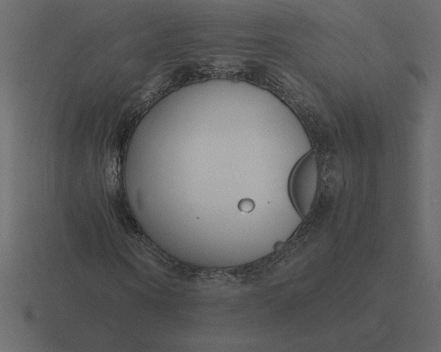 X0000116620866200912241751