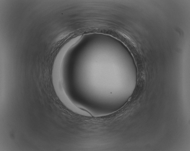 X0000116620869200912241751