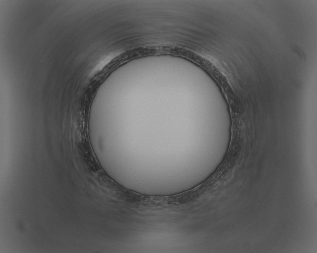 X0000116620871200912241751