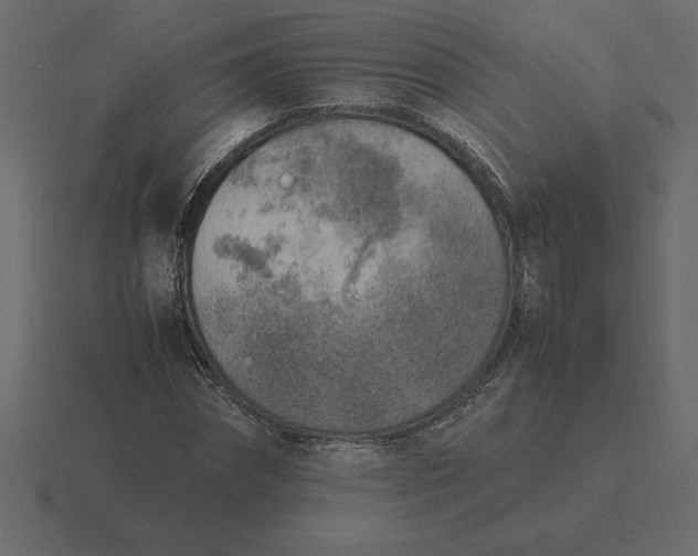 X0000116620874200912241751