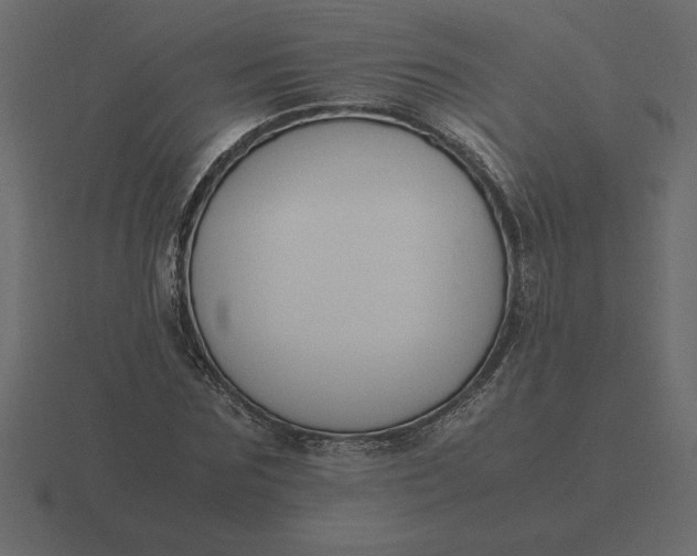 X0000116620875200912241751