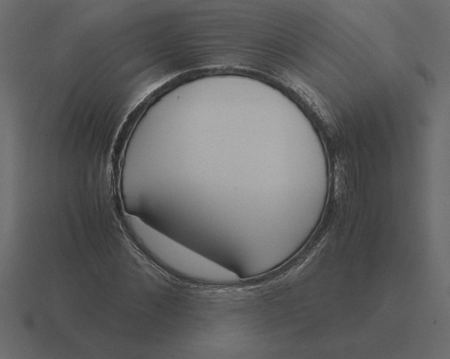 X0000116620876200912241751