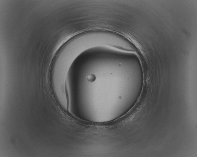 X0000116620877200912241751