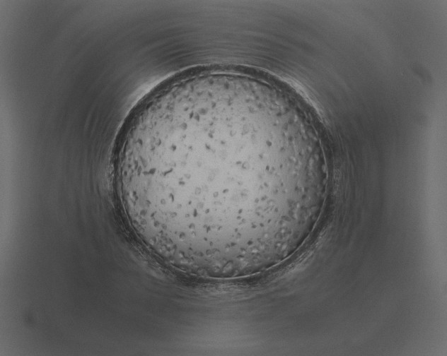 X0000116620879200912241750